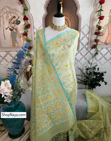 Organza & Cotton Patola Saree from Banaras | Light Pistachio Green | Gold Zari | Handwoven | Ships from California